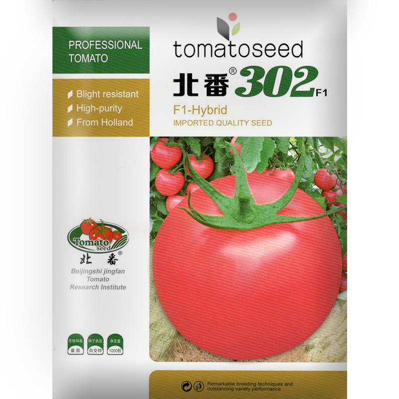 番茄种子粉果耐热302F1进口高硬度大果抗TY线虫口感佳