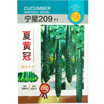 露天黄瓜种子四季顺直强雌油亮抗病强芽率高陆地抗热