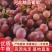 精品红无核葡萄威县葡萄无籽葡萄河北万亩葡萄基地现摘现发