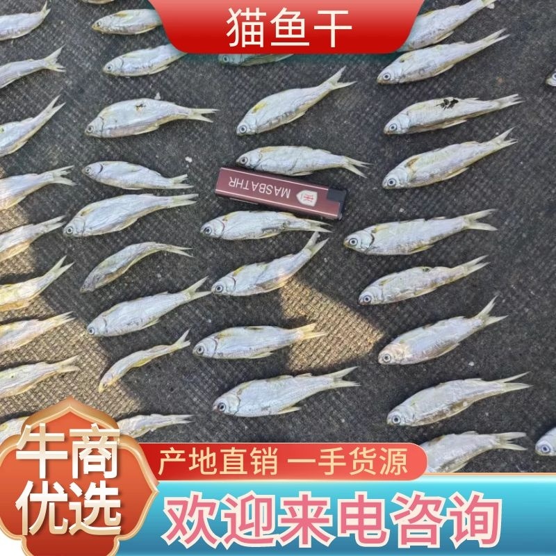 【力荐】猫鱼干，产地直发，质量保证，欢迎来电，全国发货