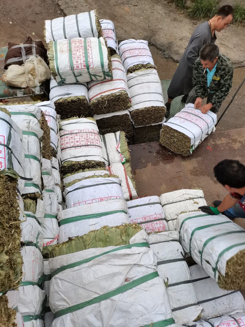 粽叶天然野生50斤烘干粽叶商用叶面干净，厂家直发