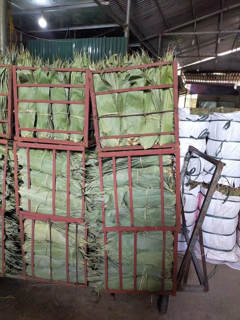 粽叶天然野生50斤烘干粽叶商用叶面干净，厂家直发