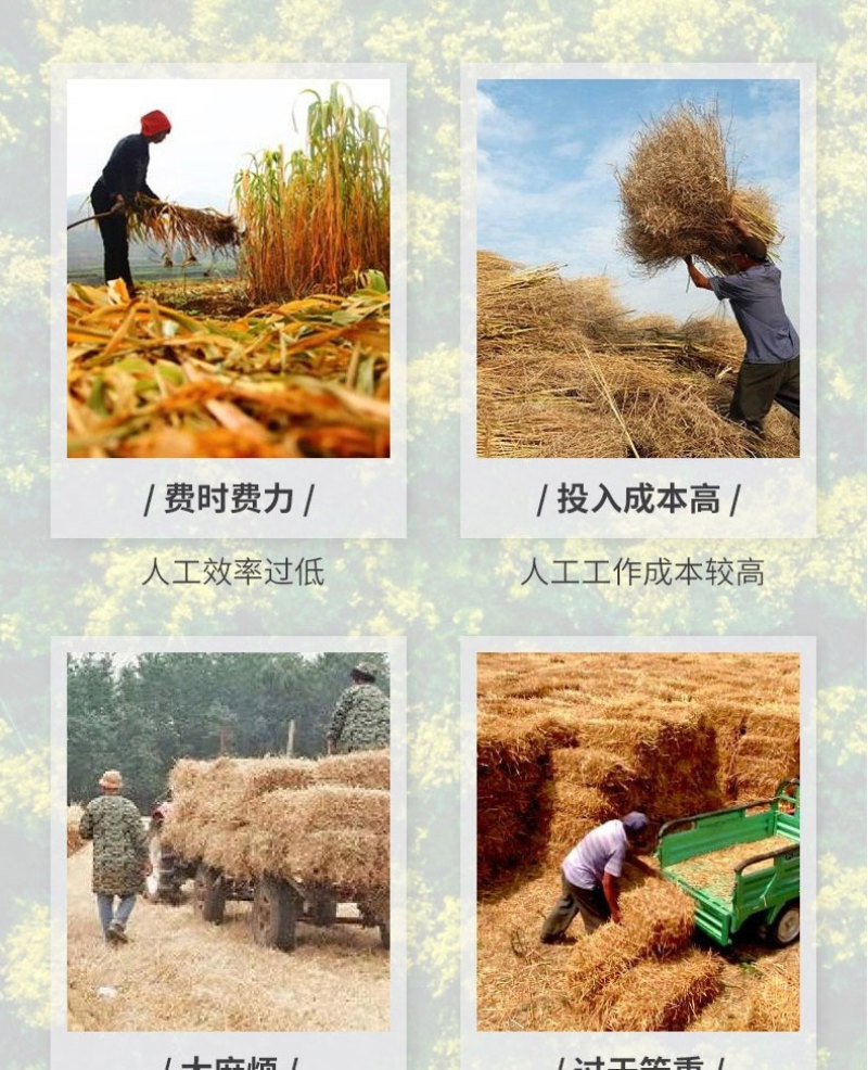 玉米秸秆回收机自走式青储饲料收割机干鲜两用秸秆还田机