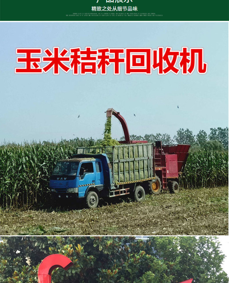 玉米秸秆回收机自走式青储饲料收割机干鲜两用秸秆还田机