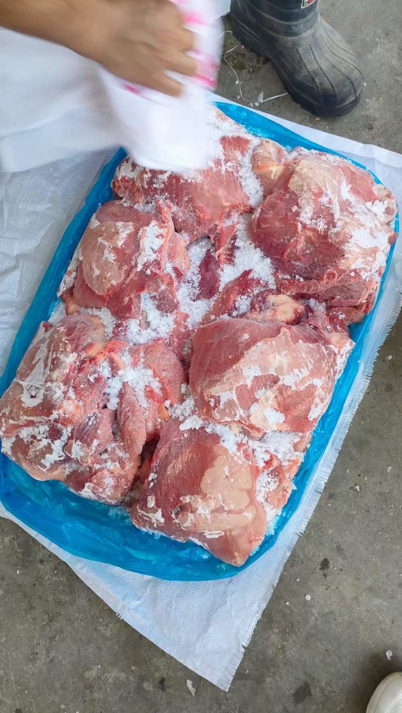 母猪二四号肉现货货源充足优质产品实拍图全国可供