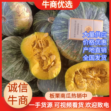 陕北板栗南瓜旗大量上市！！！！！！！！！！