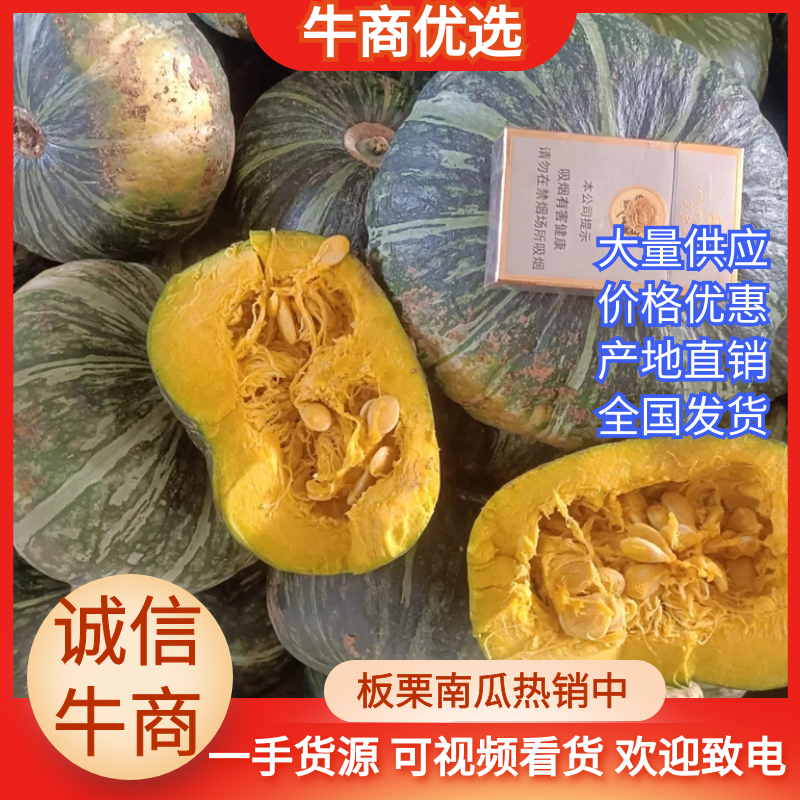 陕北板栗南瓜旗大量上市！！！！！！！！！！
