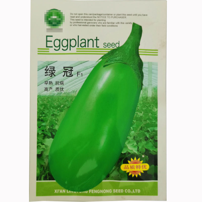 绿罐茄子种子绿茄种籽绿青皮绿肉灯泡牛心茄早熟抗病强