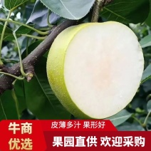 梨翠冠梨湖北翠冠梨皮薄多汁果形好价格美丽
