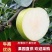 梨翠冠梨湖北翠冠梨皮薄多汁果形好价格美丽