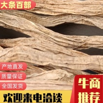 【精品】无硫足干大条百部，全国发货，质量保证，欢迎来电