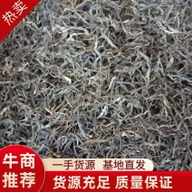 古树普洱茶混采一手货源视频看货品质保证以质论价