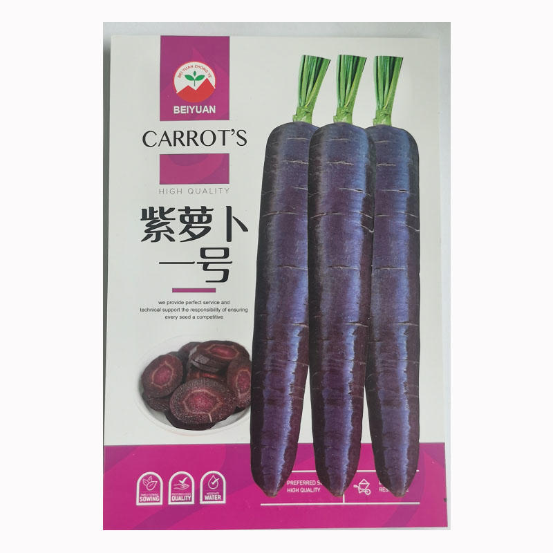 紫色胡萝卜种子紫黑色甜脆可口春秋种植