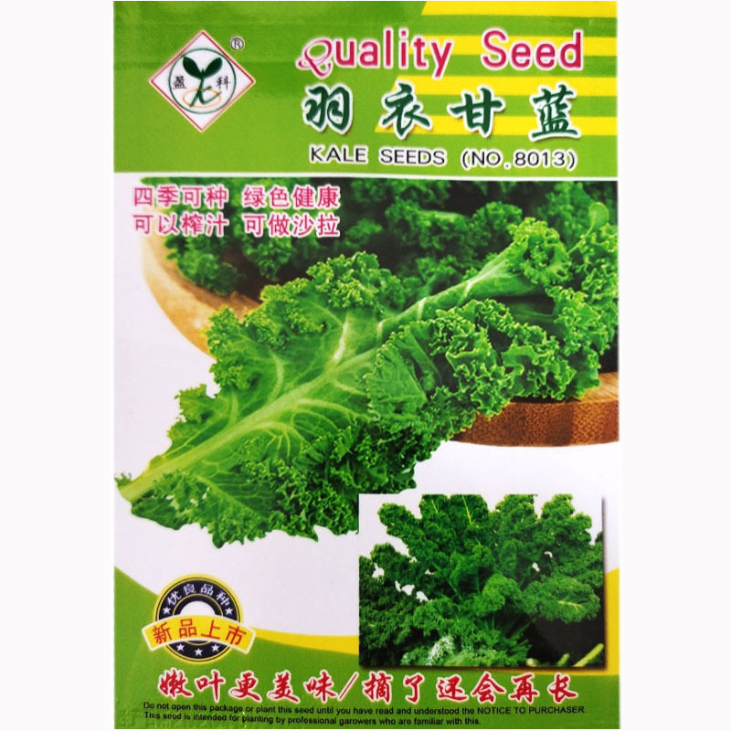 绿色羽衣甘蓝种子食用皱叶品种多次采收四季种植