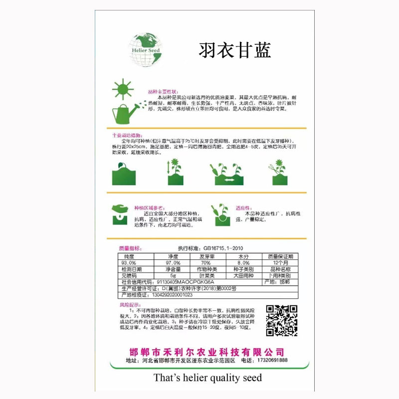 绿色羽衣甘蓝种子食用皱叶品种多次采收四季种植