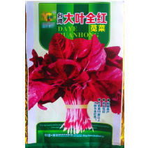 全红苋菜种子春季秋季四季农家苋菜种子生长快菜