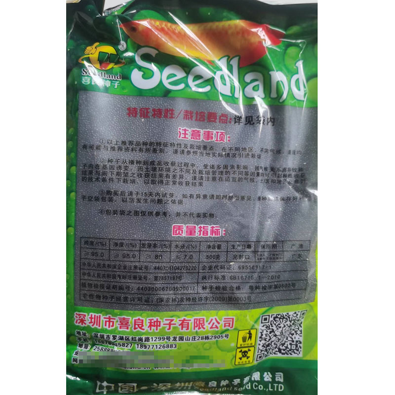 全红苋菜种子春季秋季四季农家苋菜种子生长快菜