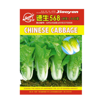 快菜种子速生568早熟小白菜春夏季冬种植生长快耐抽薹