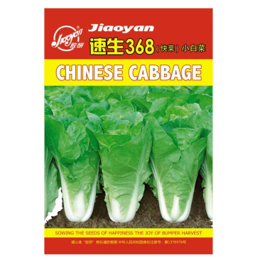 快菜种子种籽四季小白菜蔬菜青菜耐热菜籽孑籽种菜种