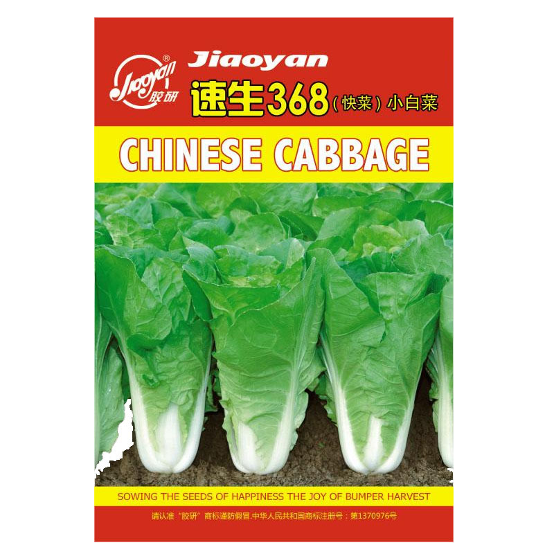 快菜种子种籽四季小白菜蔬菜青菜耐热菜籽孑籽种菜种