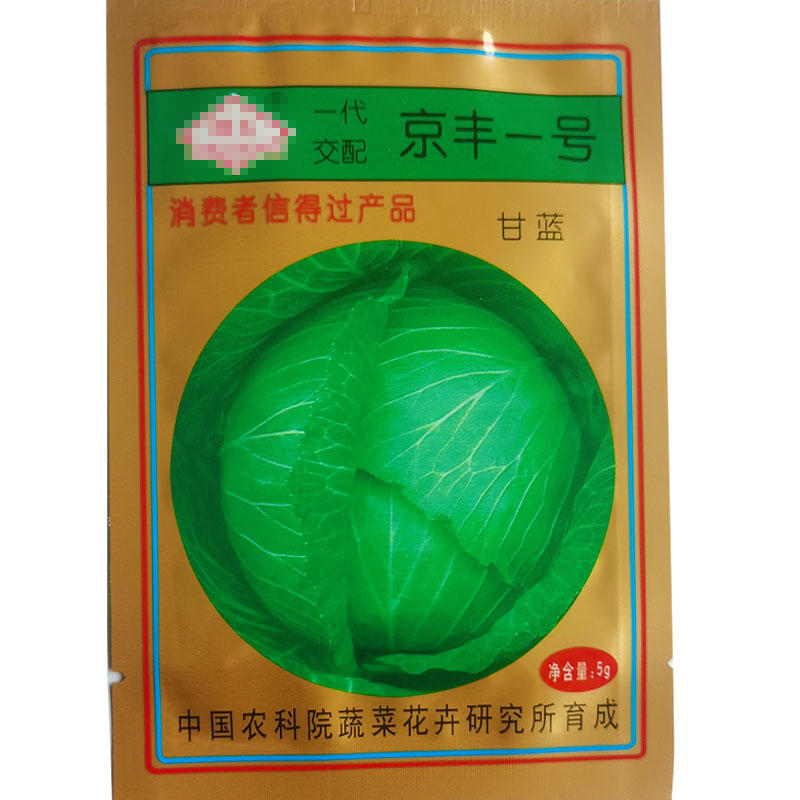 京丰一号甘蓝种子杂交种子卷心菜中熟叶球紧实扁圆形