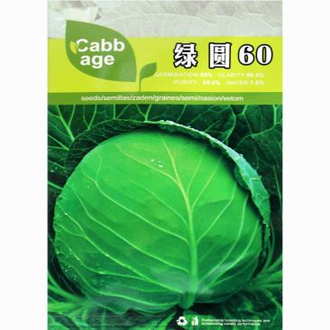 甘蓝种子春秋两用球形美观口感脆耐裂花白莲早熟