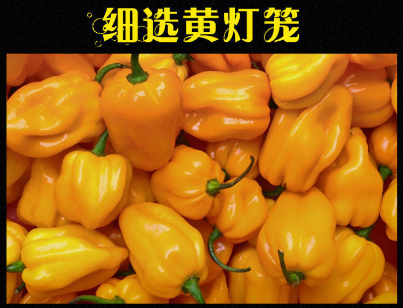 海南特产特辣黄灯笼辣椒酱香辣超级辣酸汤肥牛黄椒酱剁椒