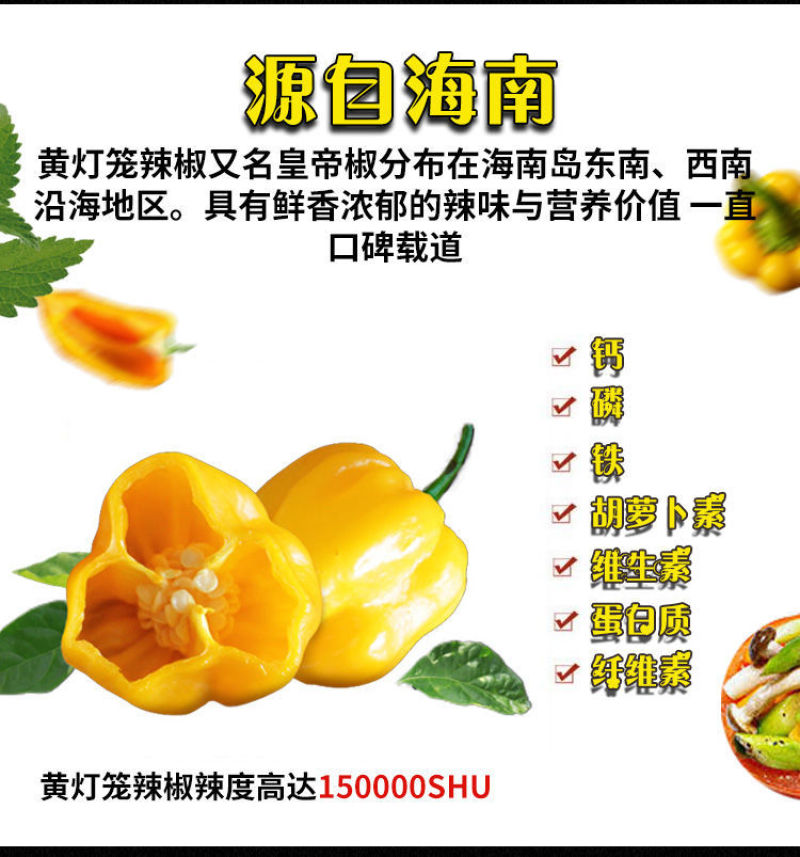 海南特产特辣黄灯笼辣椒酱香辣超级辣酸汤肥牛黄椒酱剁椒