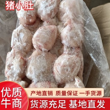 精品猪小肚，质量保证，产地直发，全国发货，欢迎来电