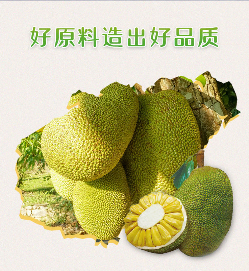 海南菠萝蜜干果零食水脆蔬果干新鲜125g/250g特产
