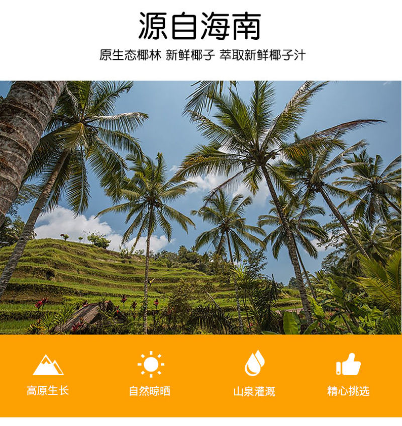 海南椰子糖500g特浓特制婚庆喜糖硬糖果散装袋装三亚特产