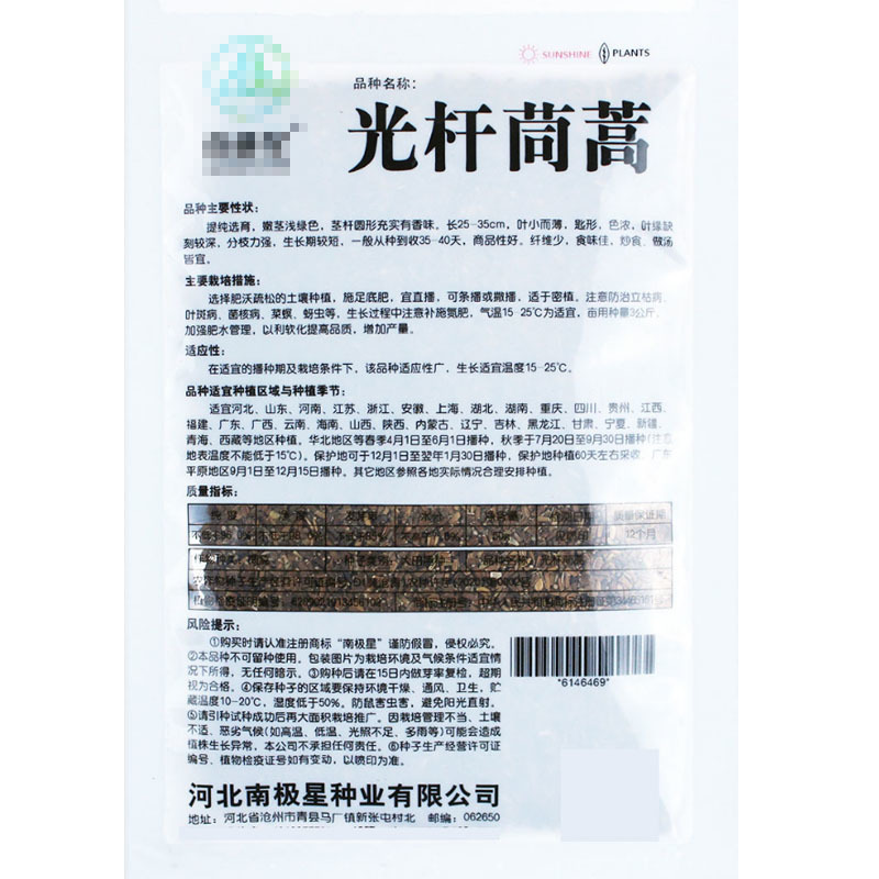 光杆茼蒿种子小叶四季皇帝茼蒿菜早熟多次割茬生长快火锅