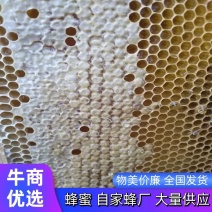 万安中蜂蜜高山野蜂蜜一手货源自然采摘人工收42+一件