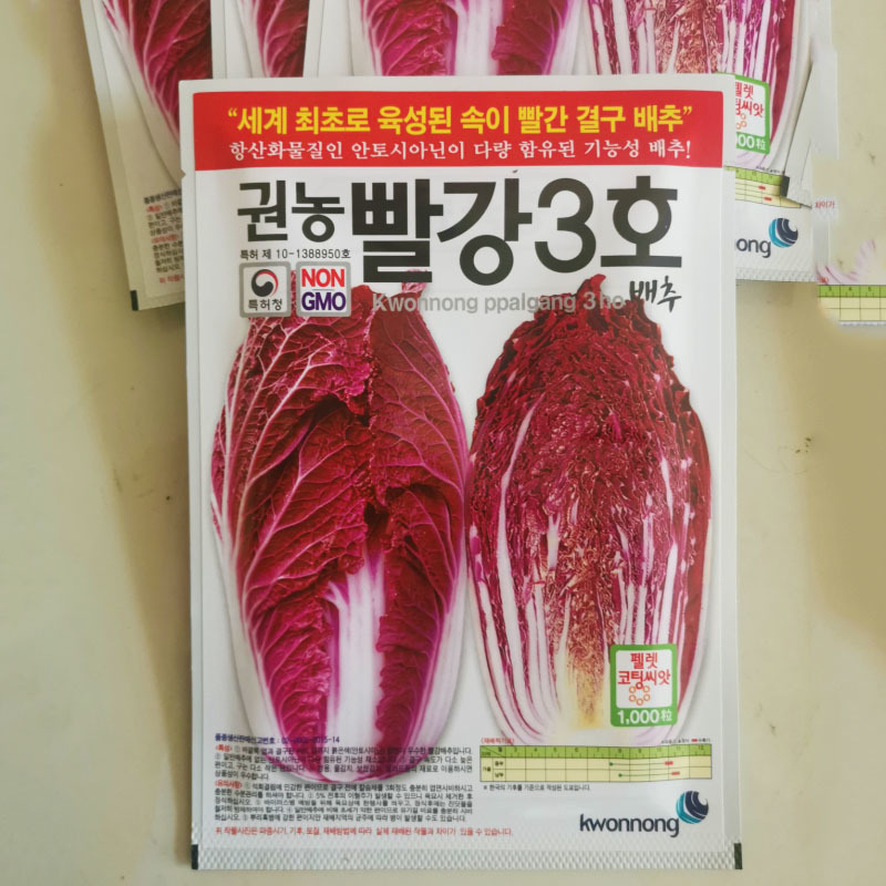 紫白菜种籽紫裔白菜种籽大白菜种孑大白菜种子白菜种籽秋