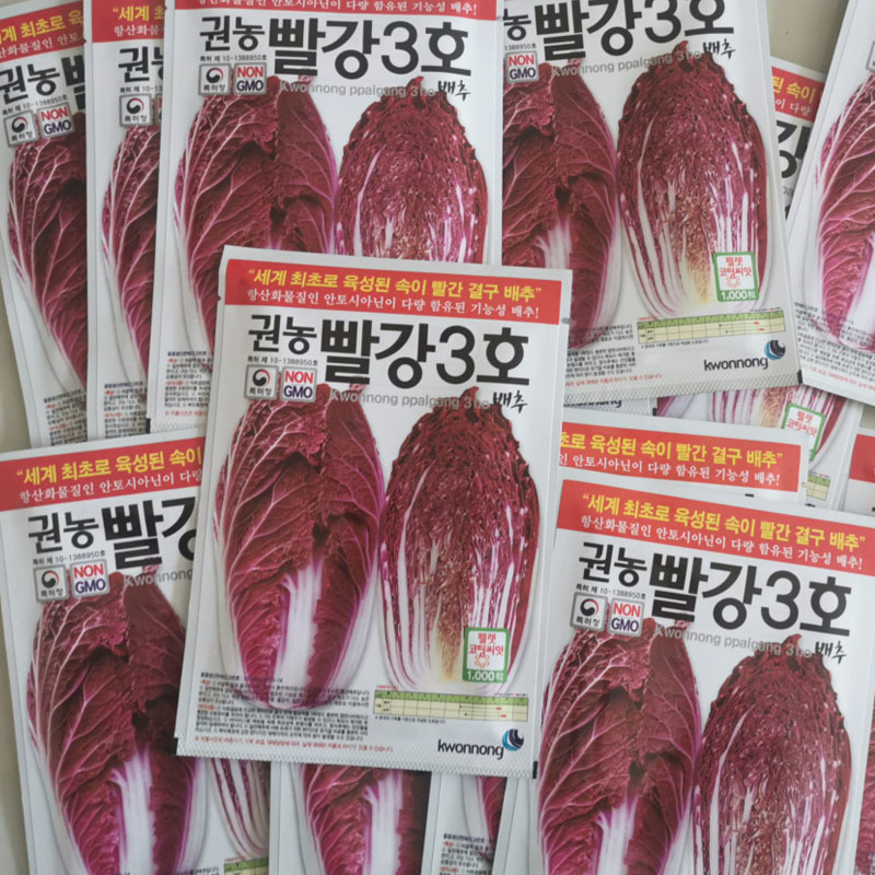 紫白菜种籽紫裔白菜种籽大白菜种孑大白菜种子白菜种籽秋