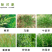24%烯草酮大豆田油菜田苗后除草剂牛筋草禾本科杂草20克