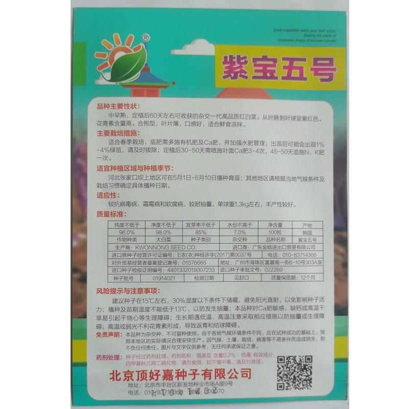 紫宝5号紫白菜种子春秋种植高产抗病强蔬菜基地
