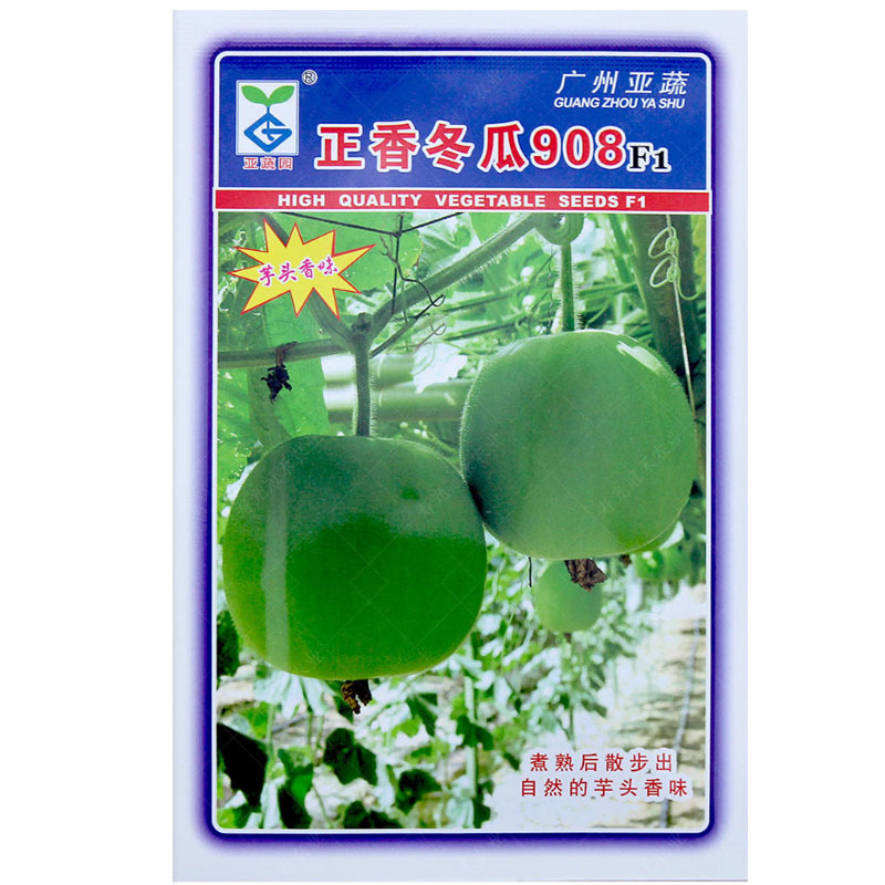 香芋冬瓜种子小冬瓜种籽青皮冬瓜种孑肉厚香芋春秋