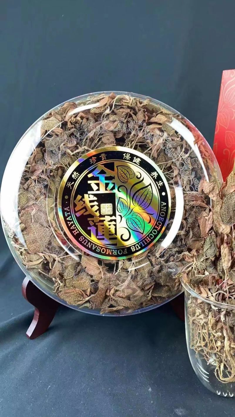 仿林下种植金线莲，产地直供，质量保证，欢迎联系