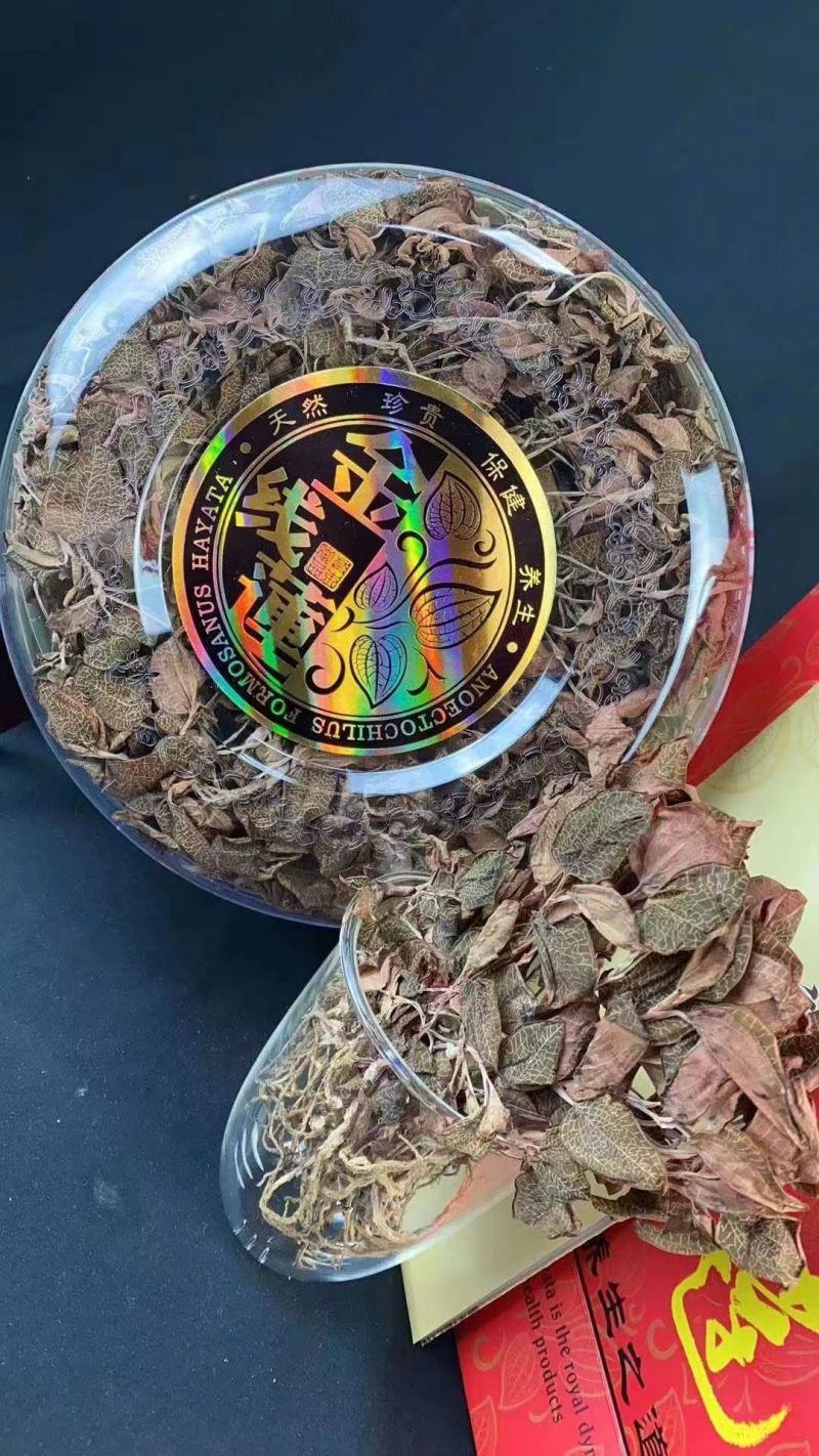 【牛商推荐】金线莲，福建金线莲，产地直发，一件代发
