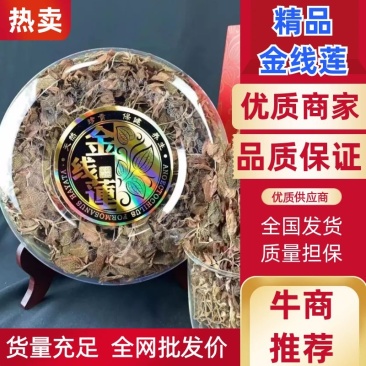 仿林下种植金线莲，产地直供，质量保证，欢迎联系