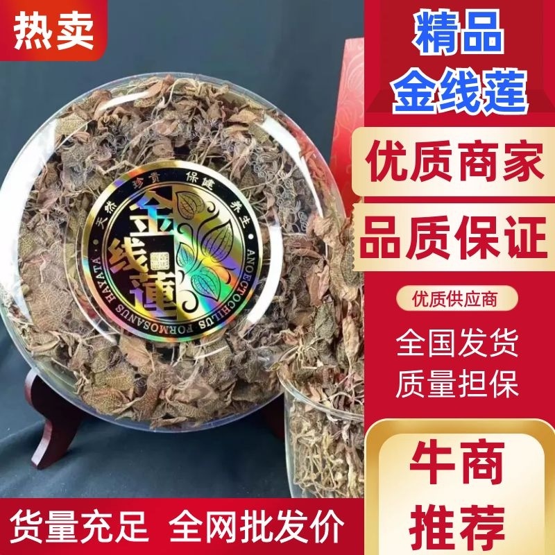 仿林下种植金线莲，产地直供，质量保证，欢迎联系