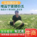 宁夏中卫西瓜质量保证,口感非常甜,有意老板电话联系。
