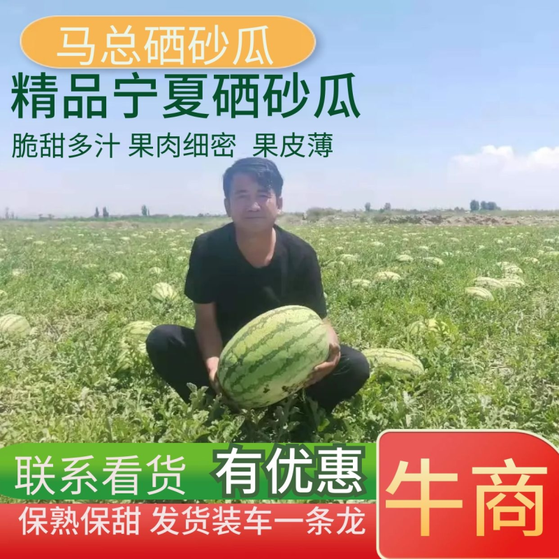宁夏中卫西瓜质量保证，口感非常甜，有意老板电话联系。