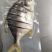 湛江北部湾海域金鲳鱼一夜埕，三去，少骨多肉，肥美鲜香