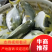 湛江北部湾海域金鲳鱼一夜埕，三去，少骨多肉，肥美鲜香