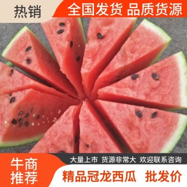 【西瓜批发】夏邑冠龙西瓜批发,植生苗,生茬地