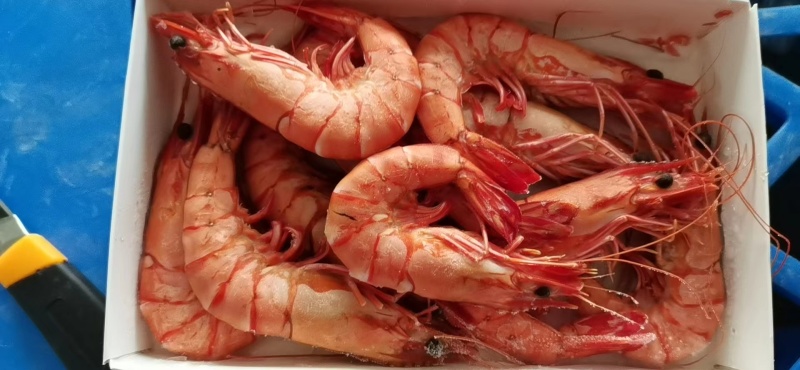 熟黑虎虾，货源充足，品质保证，诚信经营，欢迎选购