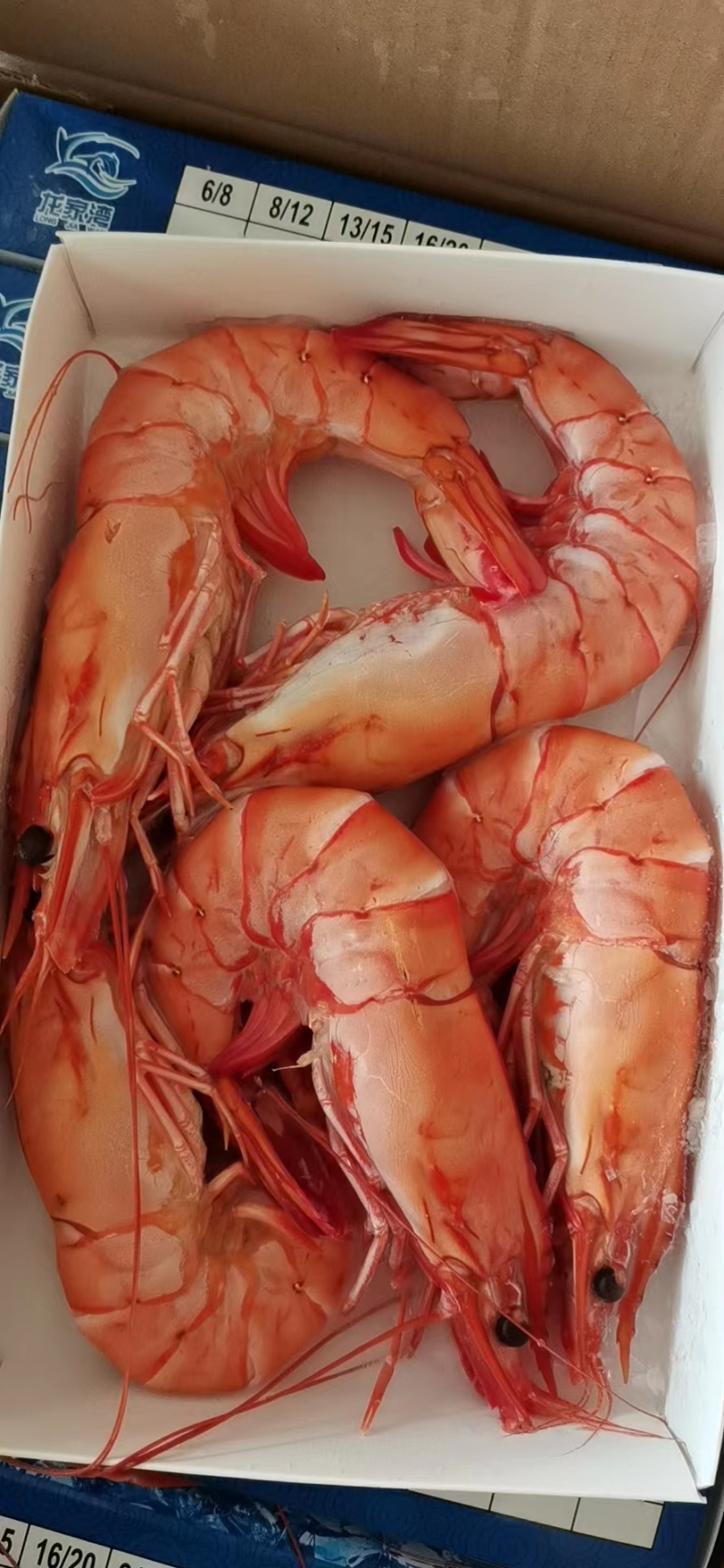 熟黑虎虾，货源充足，品质保证，诚信经营，欢迎选购