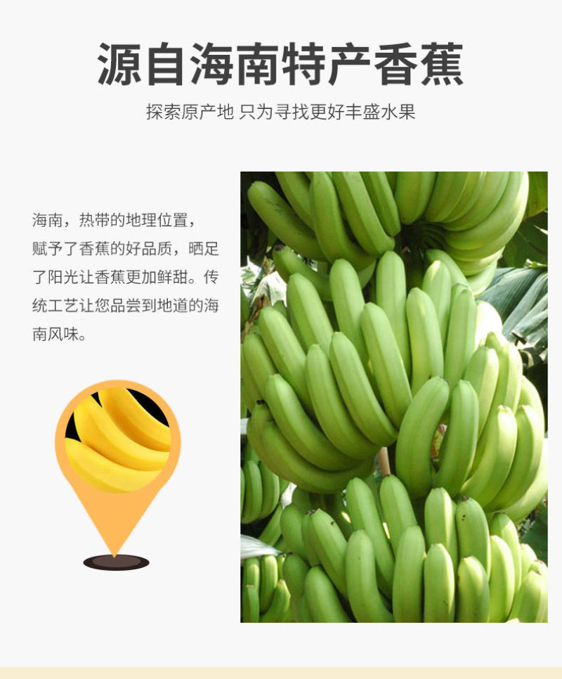 海南特产香蕉干酥脆片水果干香脆干片烘烤果干批发